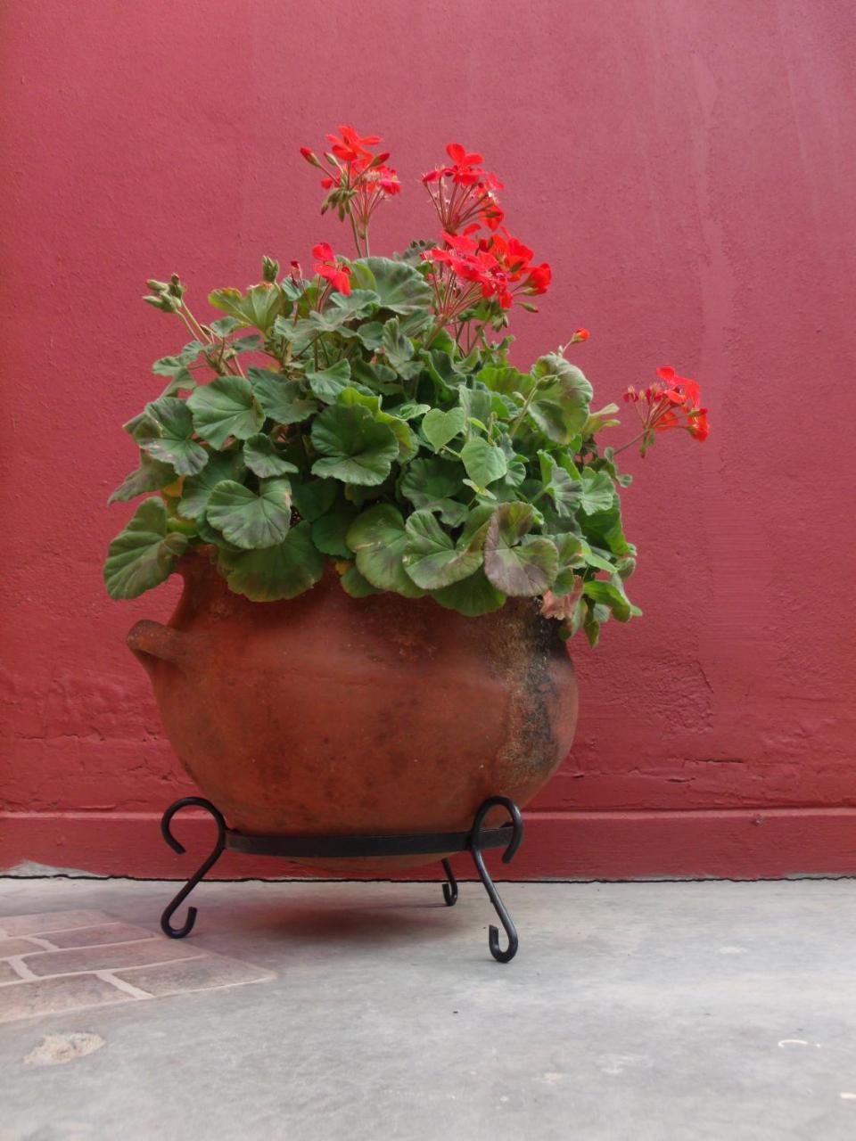 Hosteria Felipa Pastor - Ex Munay Humahuaca Exterior photo